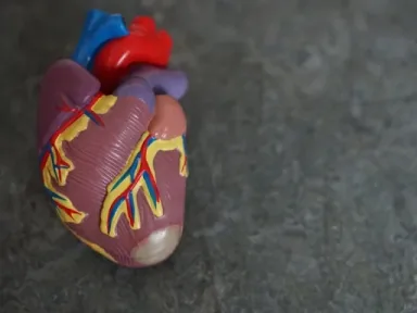 Blog, Recognising the Early Warning Signs of Heart Disease